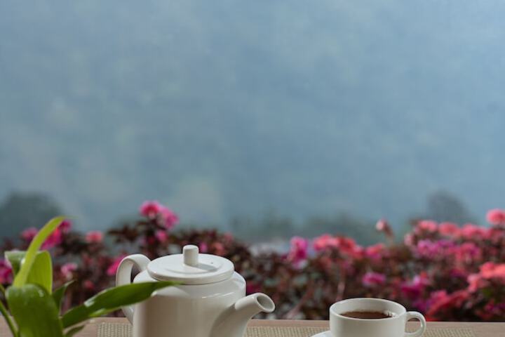 Breakfast/Coffee Service 57 of 73