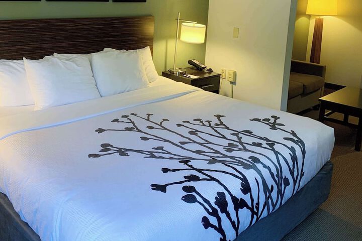 1 King Bed (8 of 11)