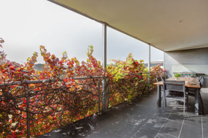 Terrace/Patio 30 of 32