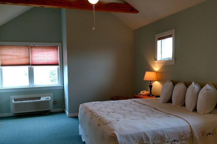 1 King Bed Not Pet Friendly (5 of 6)