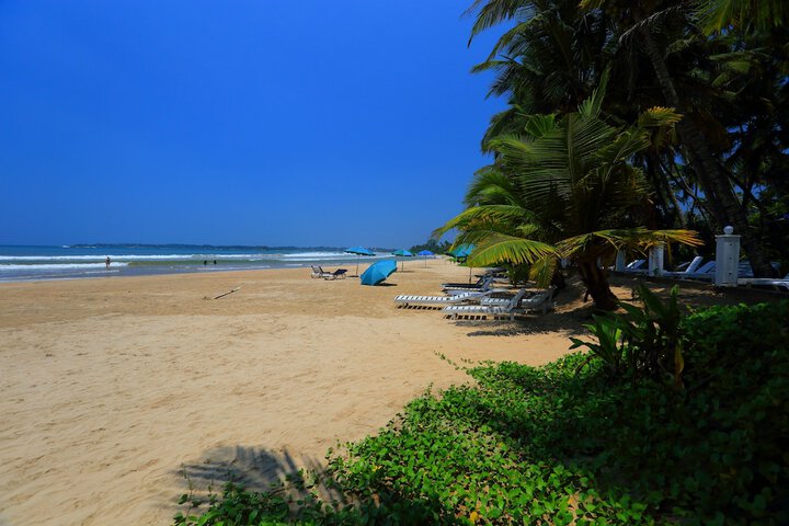 Beach 37 of 51