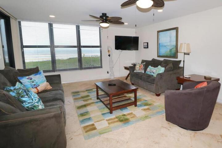 Image of Sand Dollar 2-107