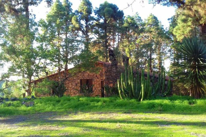 Exterior of Monte frio de Tenerife