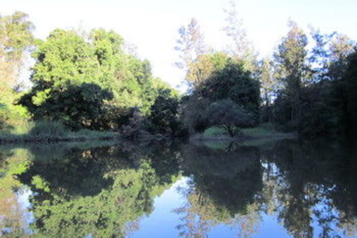 Property Grounds 43 of 45