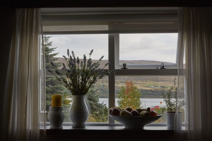 View from room