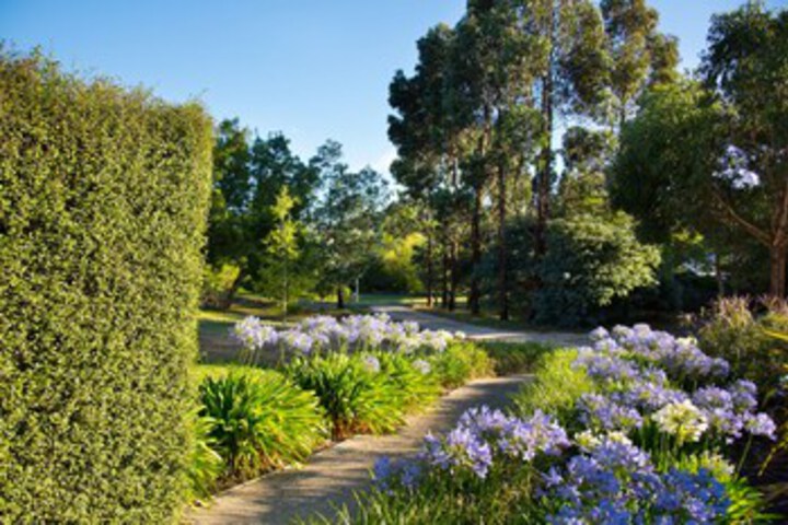 Property Grounds 10 of 12