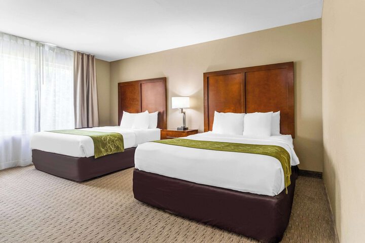 1 King Bed Suite (12 of 26)