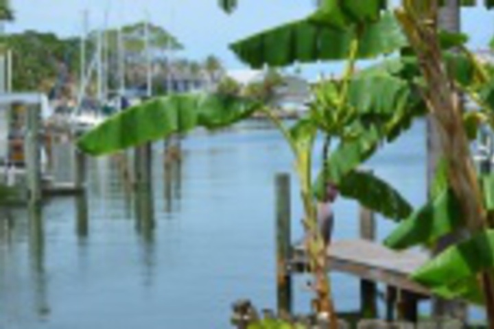 Hotel Exterior 17 of 576