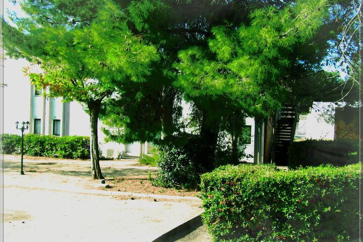 Hotel Exterior 58 of 64