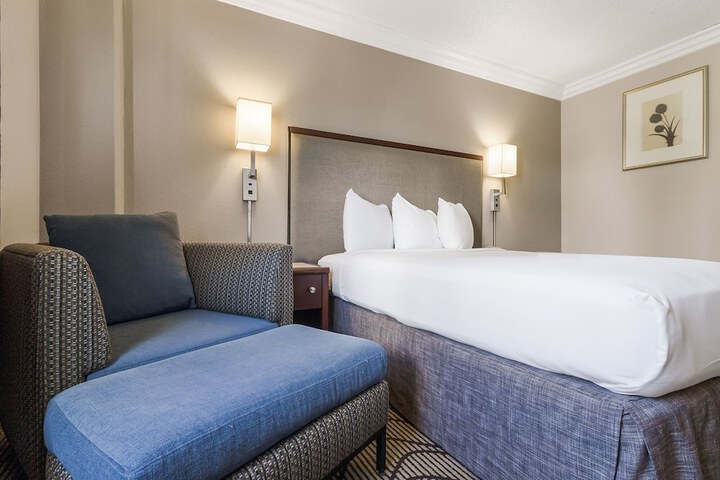 1 Queen Bed (7 of 23)