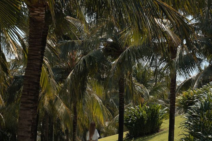 Hotel Exterior 287 of 320