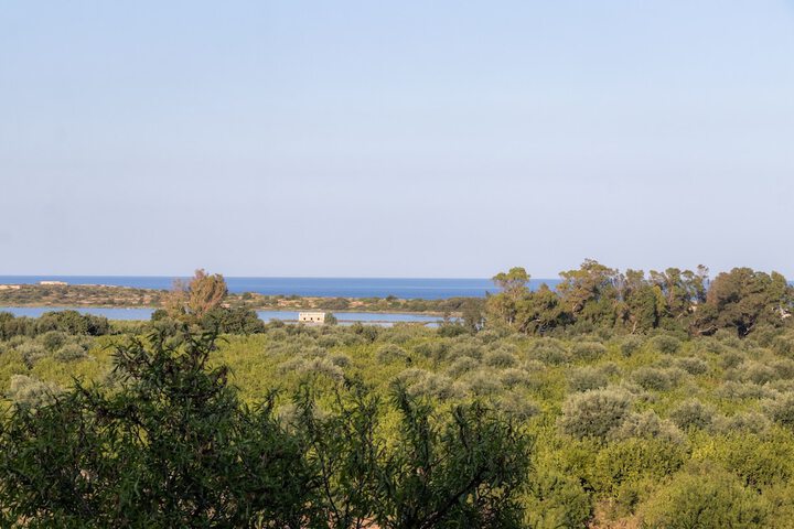 Hotel View 41 of 45