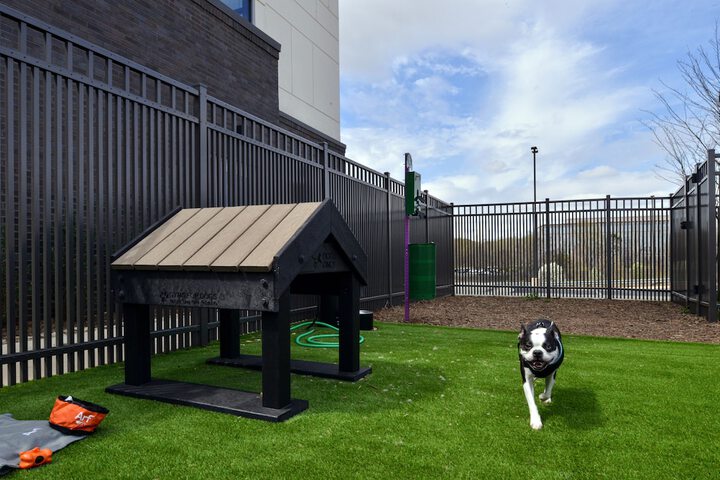 Pet-friendly