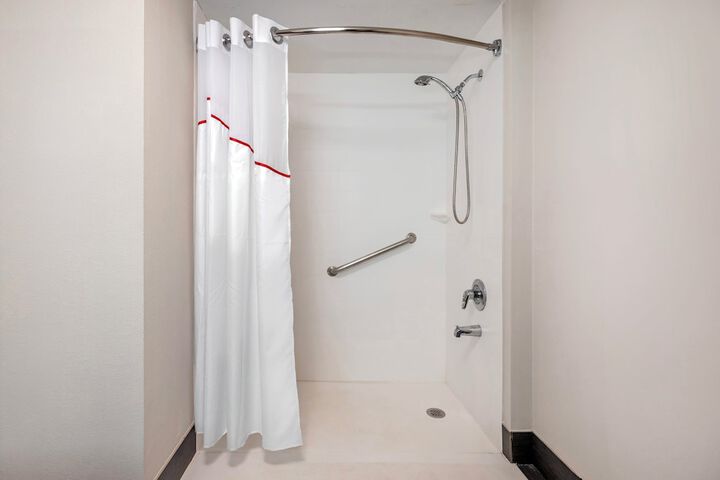 ADA Accessible Deluxe 1 Queen Bed with Roll in Shower (8 of 14)