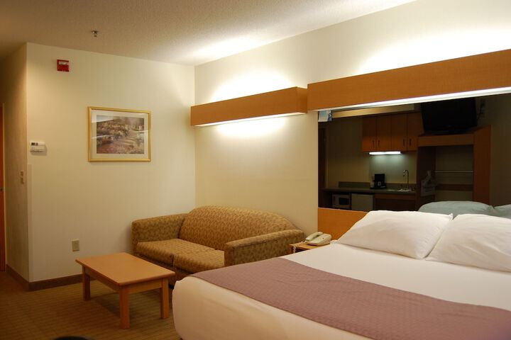 2 Queen Bed Mobility Hearing Accessible Room Roll in Shower (27 of 44)