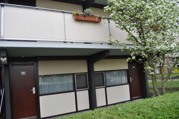 Photo 25