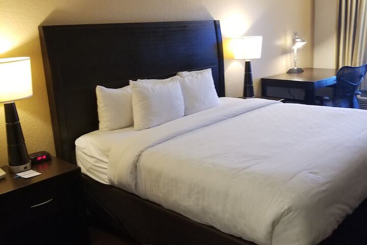 1 King Bed Accessible (22 of 50)