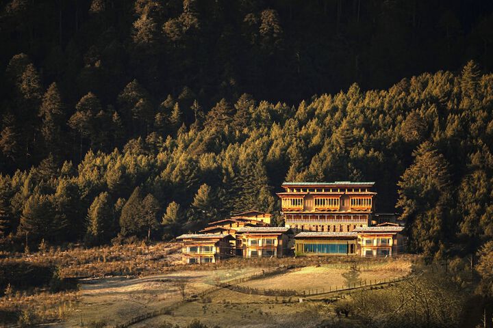 Taj Gangtey Resort & Spa