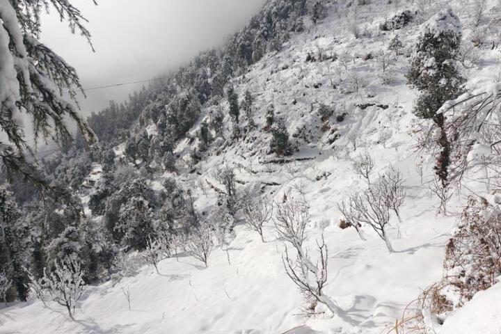General 8 of 50