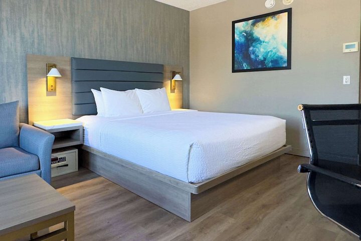 Standard 1 King Bed (3 of 30)
