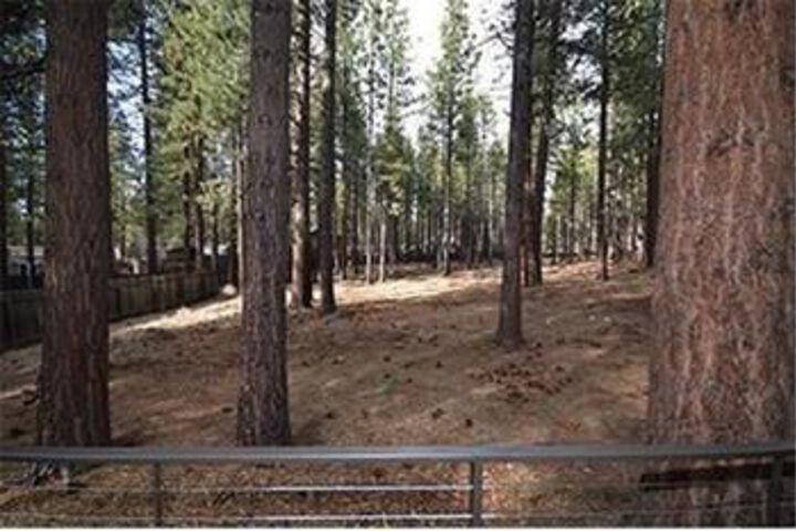 Property Grounds 10 of 10