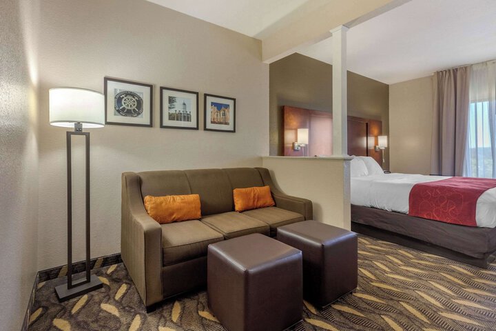 Suite King Bed Accessible (9 of 25)