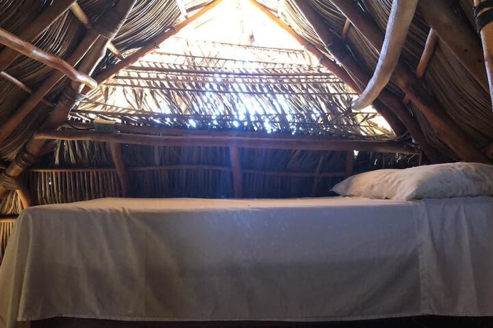 Lush Boutique Hotel in Sayulita
