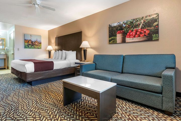 1 King Bed Bathtub Accessible (11 of 15)