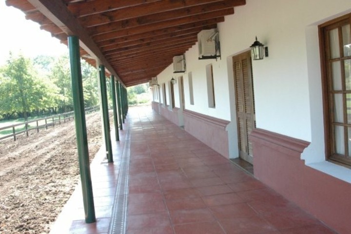 Los Viejos Ombúes