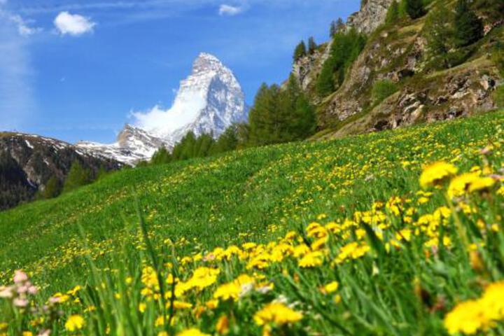 General 12 of 23