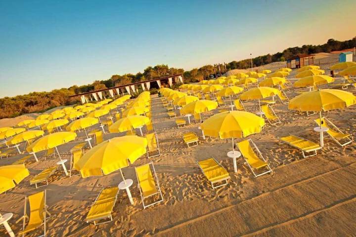 Beach 45 of 56