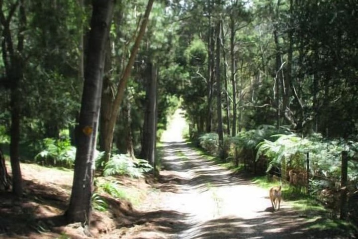 Property Grounds 13 of 20