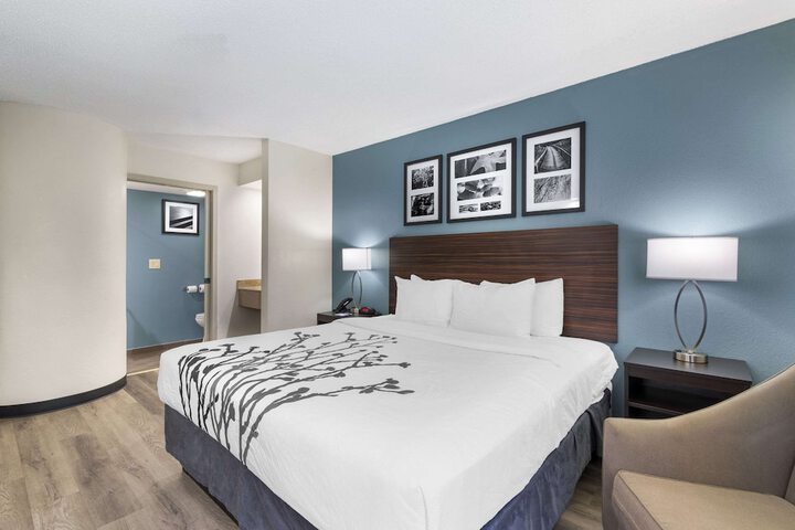 1 King Bed (6 of 11)