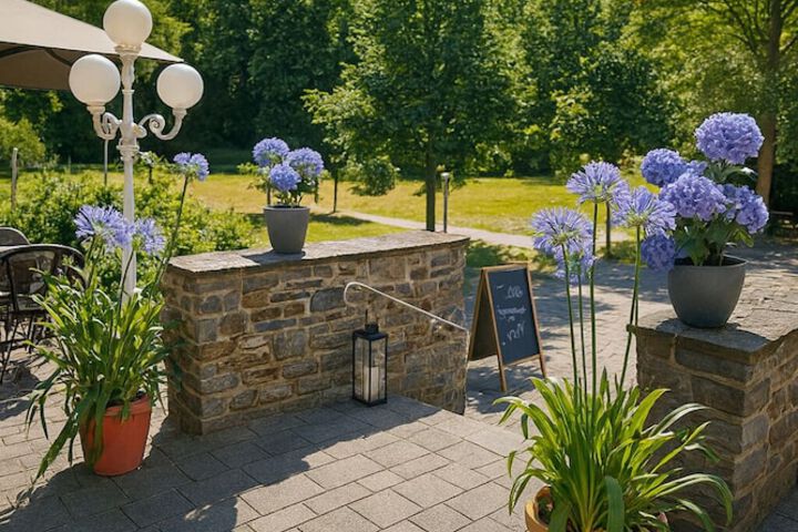 Terrace/Patio 75 of 128