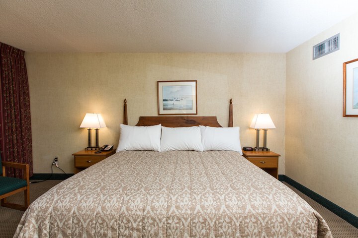 Deluxe King Bed Pet Friendly (8 of 9)
