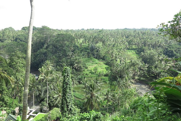 Hotel View 63 of 65