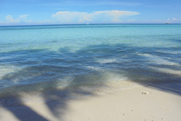 Beach 50 of 63