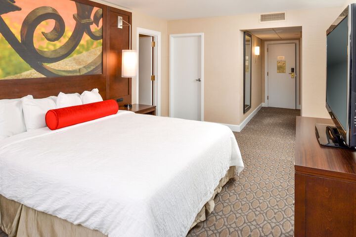 Standard | King Bed (3 of 4)