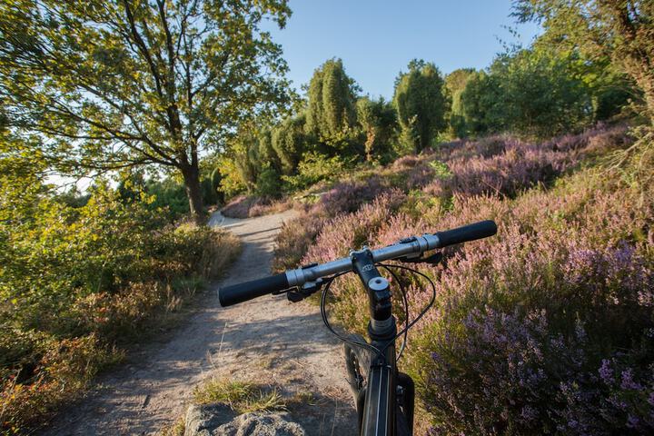 Bicycling