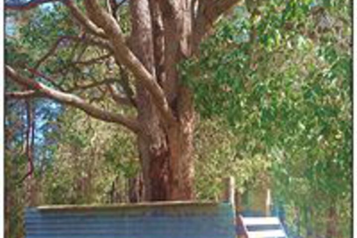 Property Grounds 59 of 62