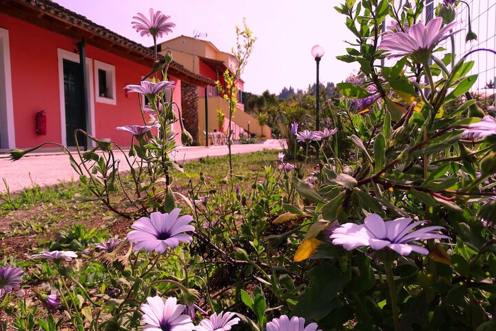 Courtyard view