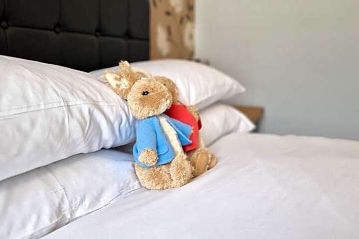 Photo 14