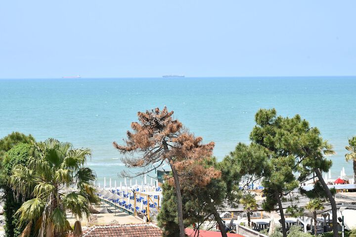 Beach 64 of 65