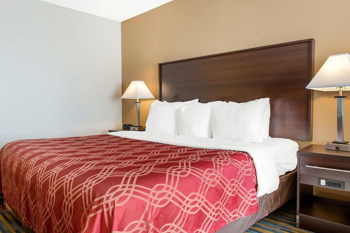 1 King Bed (10 of 11)