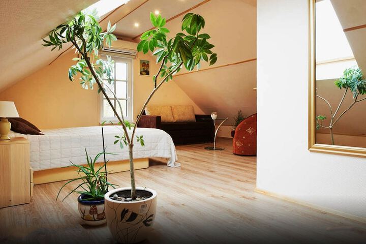 Room 20 of 59