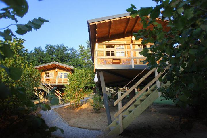 Ecolodge Langhe