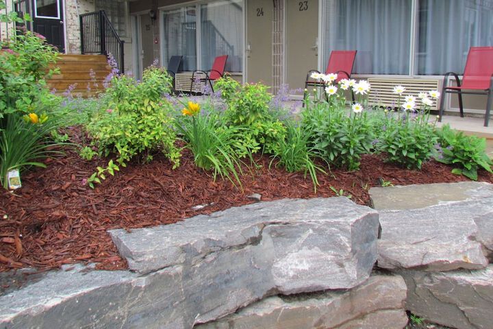 Garden view