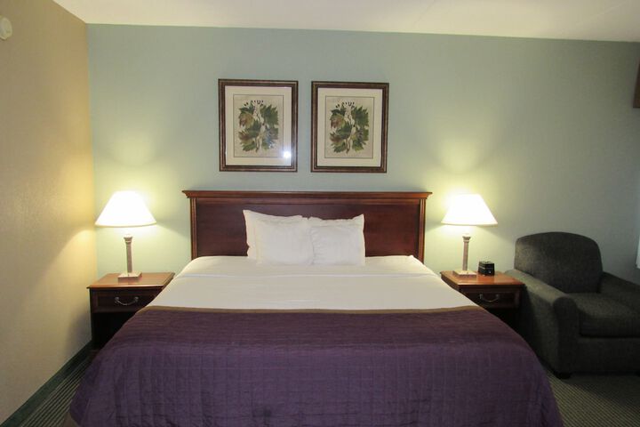 Deluxe King Bed (5 of 39)