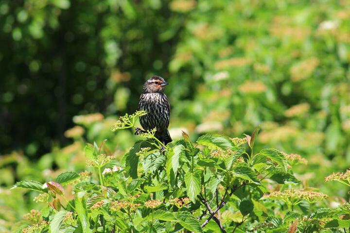 Property Grounds 30 of 44