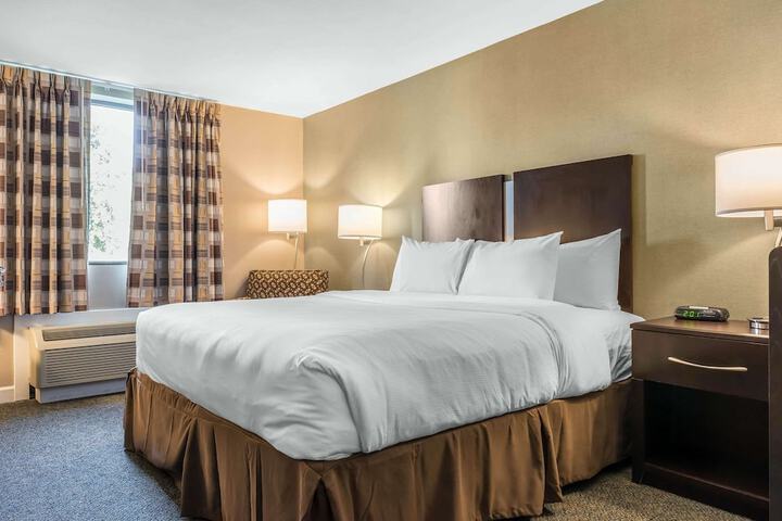 1 King Bed (8 of 16)